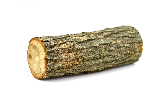 oak log